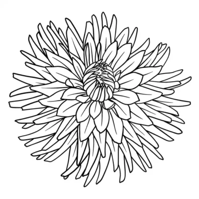 Ziedu uzlīme - Melnbalts atsevišķa zieda zīmējums 1