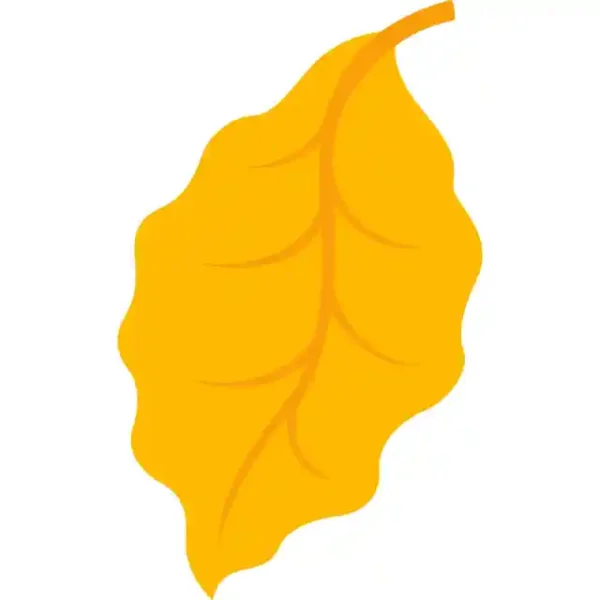 Lapu uzlīme - Krāsaina rudens lapa 15
