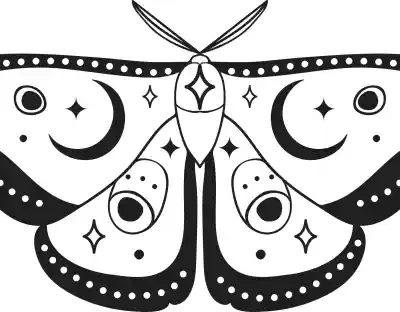 Taureņu uzlīme - Mistiska melnbalta taureņa zīmējums ar melnām spārnu malām