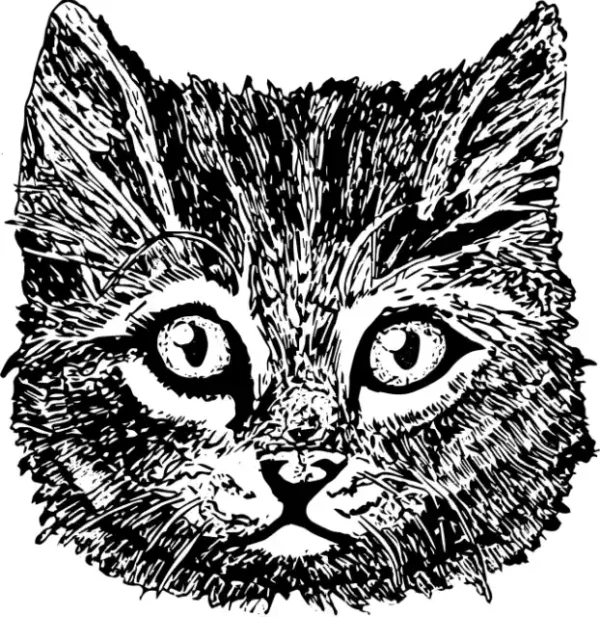 Kaķu uzlīme - Melnbalta zīmēta kaķa galva