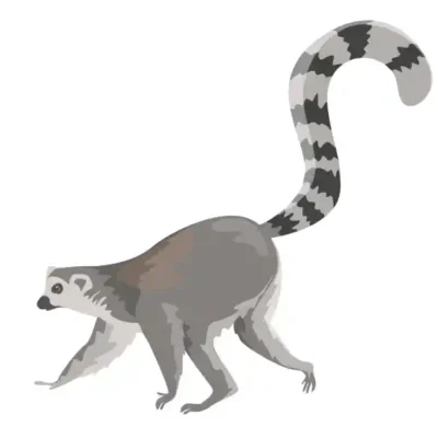 Dzīvnieku uzlīme - Lemurs