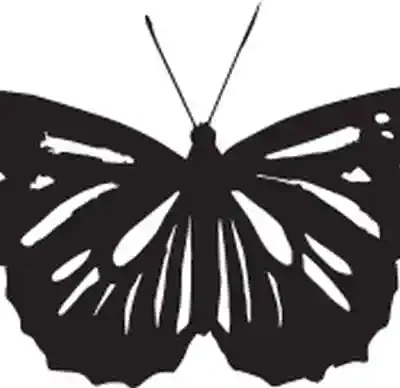 Taureņu uzlīme - Melnbalts taureņa zīmējums 5