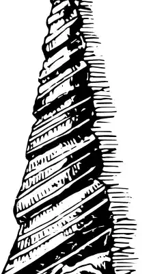 Dzīvnieku uzlīme - Melnbalts kukaiņa kokons