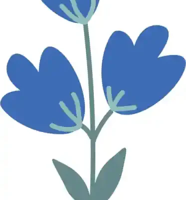 Ziedu uzlīme - Trīs zili zvaniņi uz viena kātiņa