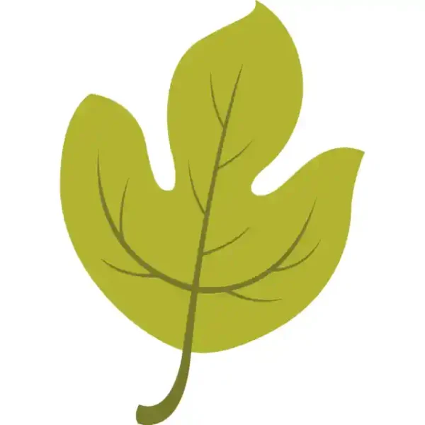 Lapu uzlīme - Krāsaina rudens lapa 14