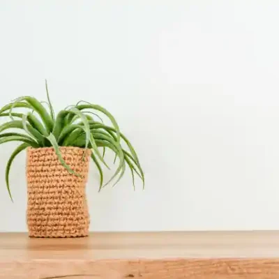 Ziedu uzlīme - Pīta vāzīte ar zaļām nokarenām lapām