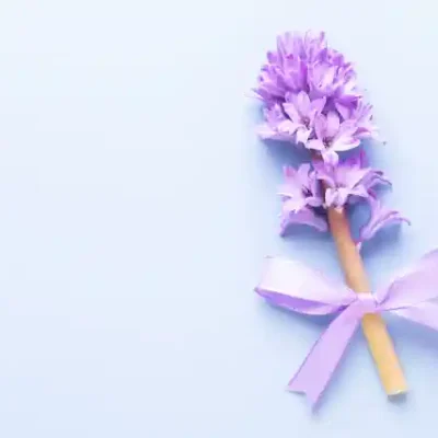 Ziedu uzlīme - Violeta hiacilte ar baltīti uz gaiši zila fona