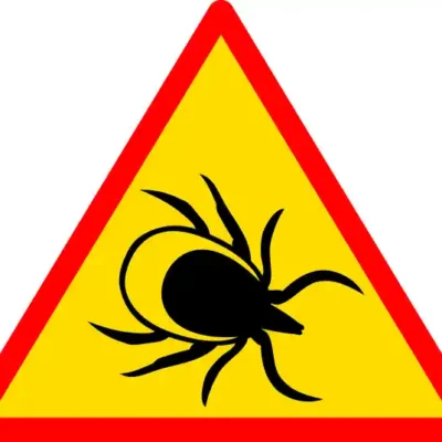 Uzlīme Uzmanību ērces dzeltena brīdinājuma zīme